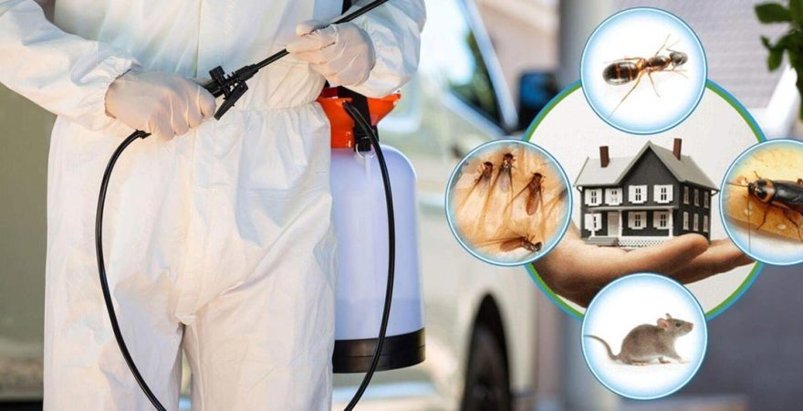 Akören Böcek İlaçlama