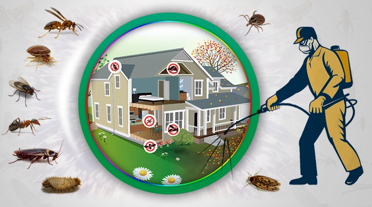 Akören Böcek İlaçlama