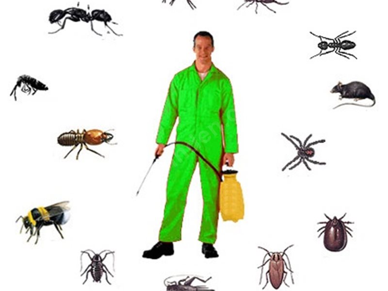 Akören Böcek İlaçlama